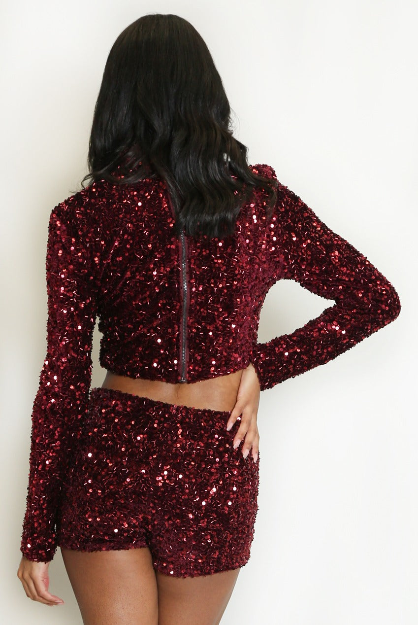 Long Sleeve Sequin Crop Top - Mikaela